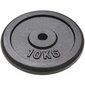 vidaXL svaru diski, 4 gab., 2x10 kg+2x5 kg, čuguns цена и информация | Svari, hanteles, stieņi | 220.lv