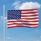vidaXL Amerikas Savienoto Valstu karogs, 90x150 cm cena un informācija | Karogi un aksesuāri | 220.lv