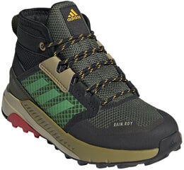 Apavi bērniem, Adidas Terrex Trailmaker Mid R.Rdy K Black цена и информация | Детские сапоги | 220.lv