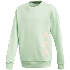 Джемпер для мальчиков Adidas Jg Mh Crew, зеленый GE0965 цена и информация | Свитеры, жилетки, пиджаки для мальчиков | 220.lv