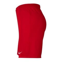 Sporta šorti zēniem Nike Park III Knit Jr BV6865-657, 51965, sarkani цена и информация | Шорты для мальчиков | 220.lv