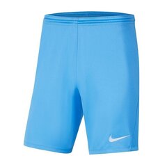 Спортивные шорты для мальчиков Nike Park III Knit Jr BV6865-412, 52005 синие цена и информация | Шорты для мальчиков | 220.lv