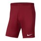 Sporta šorti zēniem Nike Park III Knit Jr BV6865-677, 52298, sarkani cena un informācija | Zēnu šorti | 220.lv