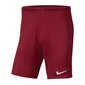 Sporta šorti zēniem Nike Park III Knit Jr BV6865-677, 52298, sarkani цена и информация | Zēnu šorti | 220.lv