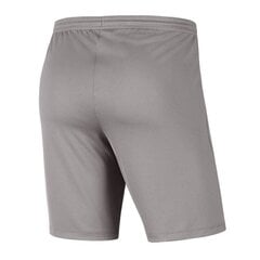 Спортивные шорты для мальчиков Nike Park III Knit Jr. BV6865-017, 52319, серые цена и информация | Шорты для мальчиков | 220.lv