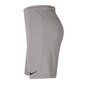 Sporta šorti zēniem Nike Park III Knit Jr. BV6865-017, 52319, pelēki cena un informācija | Zēnu šorti | 220.lv