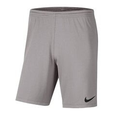 Спортивные шорты для мальчиков Nike Park III Knit Jr. BV6865-017, 52319, серые цена и информация | Шорты для мальчиков | 220.lv