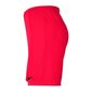 Sporta šorti zēniem Nike Park III Knit Jr BV6865-635, 52325, sarkani цена и информация | Zēnu šorti | 220.lv