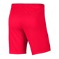 Sporta šorti zēniem Nike Park III Knit Jr BV6865-635, 52325, sarkani cena un informācija | Zēnu šorti | 220.lv