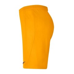 Спортивные шорты для мальчиков Nike Park III Knit Jr BV6865-739, 52327, желтые цена и информация | Шорты для мальчиков | 220.lv