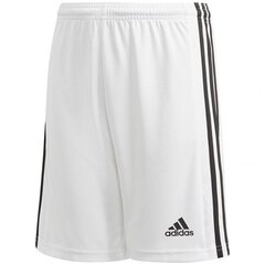 Sporta šorti vīriešiem Adidas Squadra 21 Short Youth Jr GN5766 цена и информация | Zēnu šorti | 220.lv