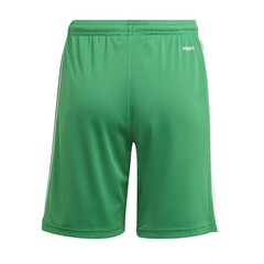 Спортивные шорты для мальчиков Adidas Squadra 21 Short Y Jr GN5762 цена и информация | Шорты для мальчиков | 220.lv