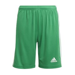Спортивные шорты для мальчиков Adidas Squadra 21 Short Y Jr GN5762 цена и информация | Zēnu šorti | 220.lv
