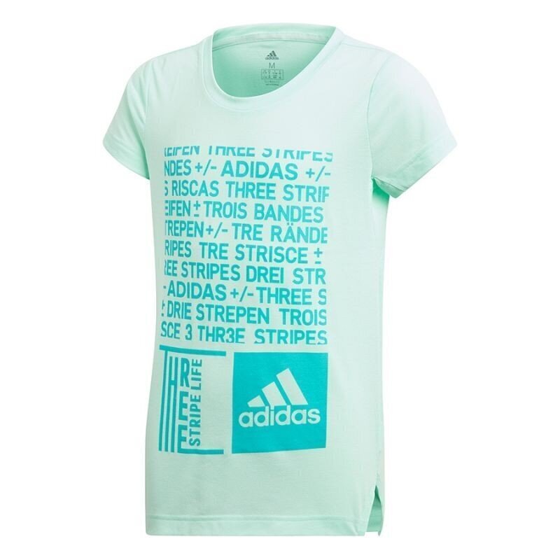 Sporta T-krekls zēniem Adidas YG Graph Tee Junior DJ1093 цена и информация | Zēnu krekli | 220.lv