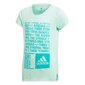 Sporta T-krekls zēniem Adidas YG Graph Tee Junior DJ1093 cena un informācija | Zēnu krekli | 220.lv