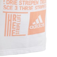 Sporta T-krekls zēniem Adidas YG TR Graph Tee Junior DJ1061 cena un informācija | Zēnu krekli | 220.lv