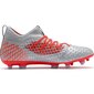 Futbola buči Puma Future 4.3 Netfit FG AG M 105612 01 цена и информация | Futbola apavi | 220.lv