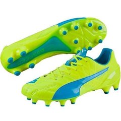 Futbola apavi Puma Evo Speed 1.4 LTH FG M 103615 03 цена и информация | Футбольные ботинки | 220.lv