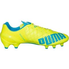 Futbola apavi Puma Evo Speed 1.4 LTH FG M 103615 03 цена и информация | Футбольные ботинки | 220.lv