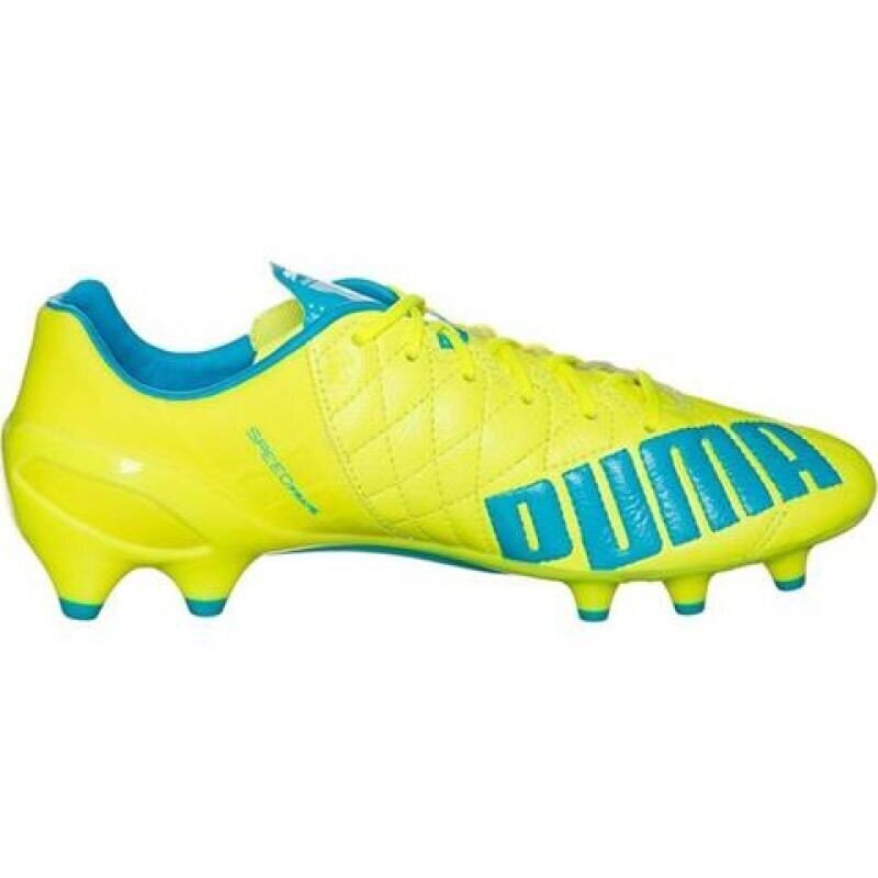 Futbola apavi Puma Evo Speed 1.4 LTH FG M 103615 03 cena un informācija | Futbola apavi | 220.lv