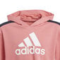 Sporta tērps meitenēm - Adidas G Hooded Crop Ts Black Pink цена и информация | Komplekti meitenēm | 220.lv