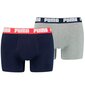 Apakšbikses vīriešiem - Puma Basic Boxer Black Grey cena un informācija | Vīriešu apakšbikses | 220.lv