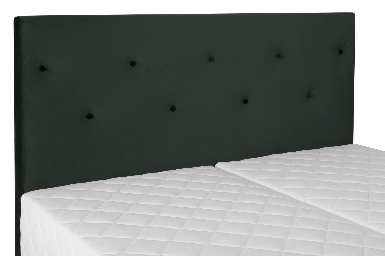 Gulta Boxy Nr.3, 180x200 cm, tumši zaļa cena un informācija | Gultas | 220.lv