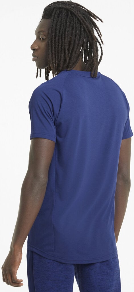 T-krekls vīriešiem - Puma Evostripe Tee Ele Blue цена и информация | Vīriešu T-krekli | 220.lv