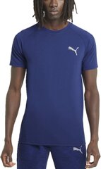 T-krekls vīriešiem - Puma Evostripe Tee Ele Blue cena un informācija | Vīriešu T-krekli | 220.lv