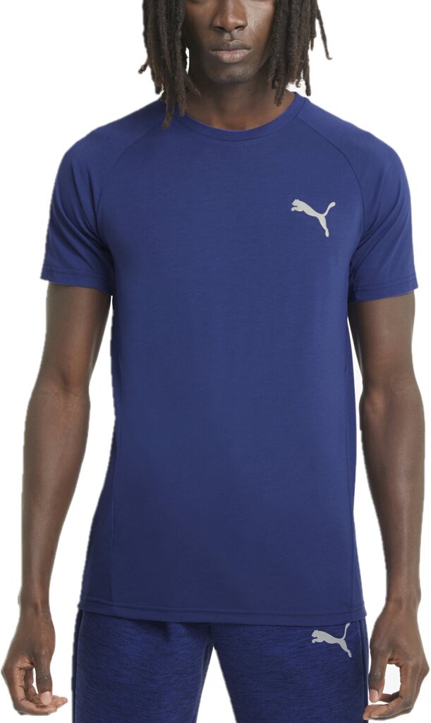 T-krekls vīriešiem - Puma Evostripe Tee Ele Blue цена и информация | Vīriešu T-krekli | 220.lv