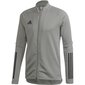 Džemperis Adidas Condivo 20 M FS7110 52842, pelēks цена и информация | Sporta apģērbs vīriešiem | 220.lv