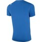 Vīriešu sporta T-krekls 4F M NOSH4 TSMF002 36S cena un informācija | Sporta apģērbs vīriešiem | 220.lv
