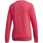 Džemperis Adidas Essentials Linear Crewneck W GD2955, 64588 cena un informācija | Jakas sievietēm | 220.lv