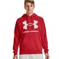 Džemperis vīriešiem Under Armour Rival Fleece Big Logo HD M 1357093 608, 67113 cena un informācija | Vīriešu jakas | 220.lv