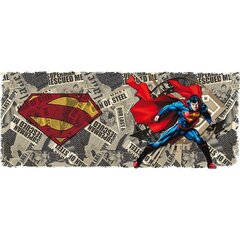 Abysse Superman and Newspaper cena un informācija | Datorspēļu suvenīri | 220.lv