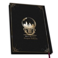 Notebook Harry Potter - Hogwarts (Abysse), Hardcover A5 цена и информация | Атрибутика для игроков | 220.lv