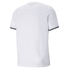 T-krekls PUMA Amplified cena un informācija | Sporta apģērbs vīriešiem | 220.lv