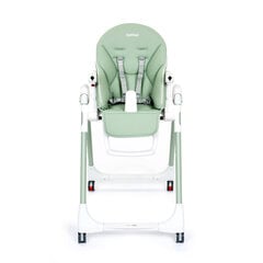 Многофункциональный стульчик для кормления Peg Perego Prima Pappa Follow Me, Mint цена и информация | Стульчики для кормления | 220.lv