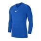 Termo T-krekls Nike Dry Park First Layer M AV2609-463, 48396 цена и информация | Vīriešu termoveļa | 220.lv