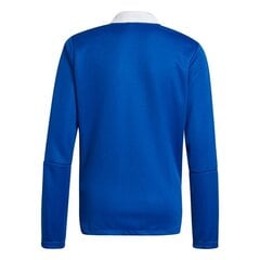 Džemperis zēniem Adidas Tiro 21 Track Jr GM7315, zils cena un informācija | Zēnu jakas, džemperi, žaketes, vestes | 220.lv