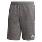 Vīriešu sporta šorti Adidas Tiro 21 Sweat M GP8808 77815 цена и информация | Sporta apģērbs vīriešiem | 220.lv