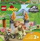 10939 LEGO® DUPLO Dinozauru izbēgšana цена и информация | Konstruktori | 220.lv