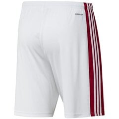 Мужские спортивные шорты Adidas Squadra 21 Short M GN5770, белые цена и информация | Мужская спортивная одежда | 220.lv