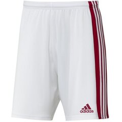 Мужские спортивные шорты Adidas Squadra 21 Short M GN5770, белые цена и информация | Мужская спортивная одежда | 220.lv