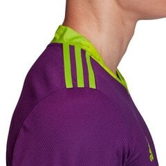 Джемпер вратаря Adidas AdiPro 20 GK M FI4194, фиолетовый цена и информация | Мужская спортивная одежда | 220.lv
