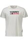 Vīriešu T-krekls Tommy Hilfiger, zils cena un informācija | Vīriešu T-krekli | 220.lv