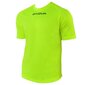 Sporta T-krekls vīriešiem Givova One U MAC01-0019 cena un informācija | Sporta apģērbs vīriešiem | 220.lv