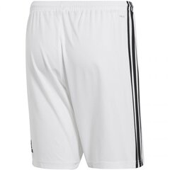 Спортивные шорты для мужчин  Adidas Condivo 18 Short, белые цена и информация | Мужская спортивная одежда | 220.lv