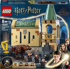 76387 LEGO® Harry Potter Столкновение с Пушком цена и информация | Конструкторы | 220.lv