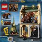 76387 LEGO® Harry Potter Sastapšanās ar Pūkainīti cena un informācija | Konstruktori | 220.lv